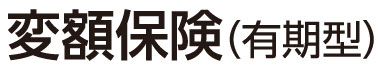 変額保険（有期型）（無配当）