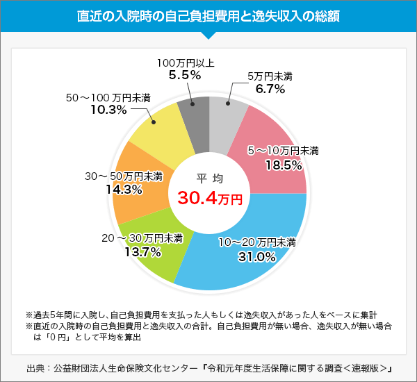 入院時の自己負担費用と逸失収入の総額