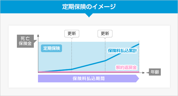 定期保険のイメージ