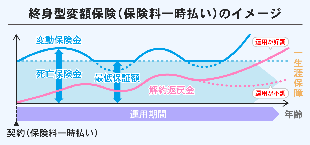 終身型変額保険（保険料一時払い）のイメージ