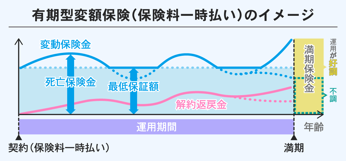 有期型変額保険（保険料一時払い）のイメージ