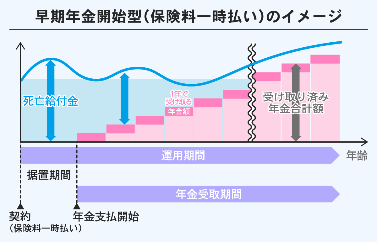 早期年金開始型（保険料一時払い）のイメージ