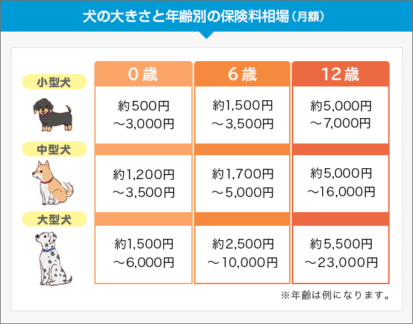 犬の大きさと年齢別の保険料相場