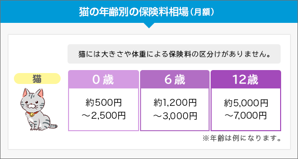 猫の年齢別の保険料相場