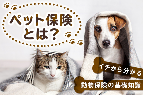ペット保険とは？ イチから分かる動物保険の基礎知識