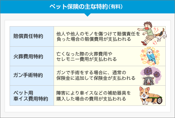 ペット保険の主な特約