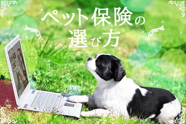 ペット保険の選び方～トラブルにならないために押さえておきたいポイント