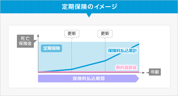 定期保険のイメージ