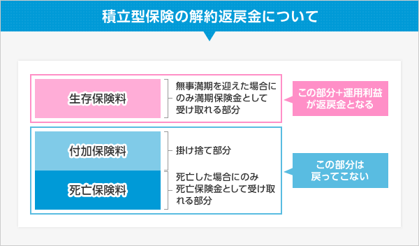 積立型保険の解約返戻金について