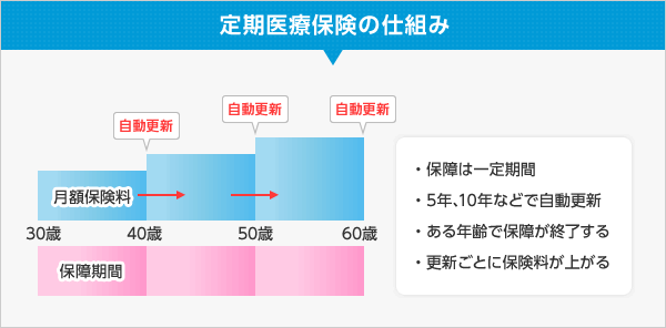 定期医療保険の仕組み