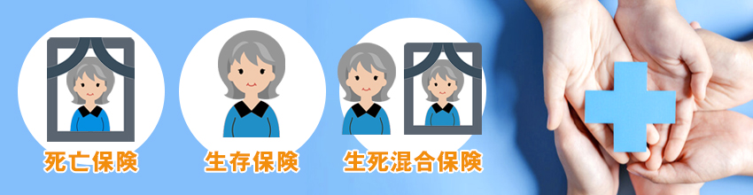 生命保険の種類
