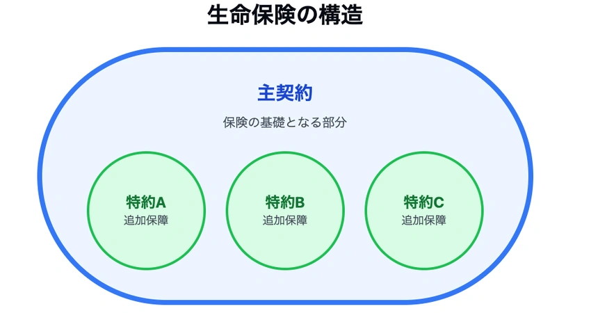 生命保険の仕組みと構造の説明図
