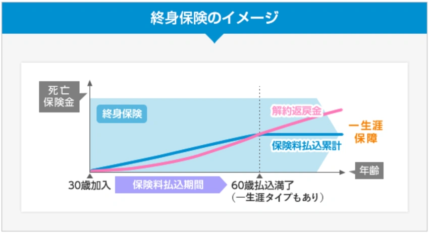 終身保険の仕組みを示す図表で、30歳加入から60歳払込満了までの保険料と解約返戻金の推移を表示