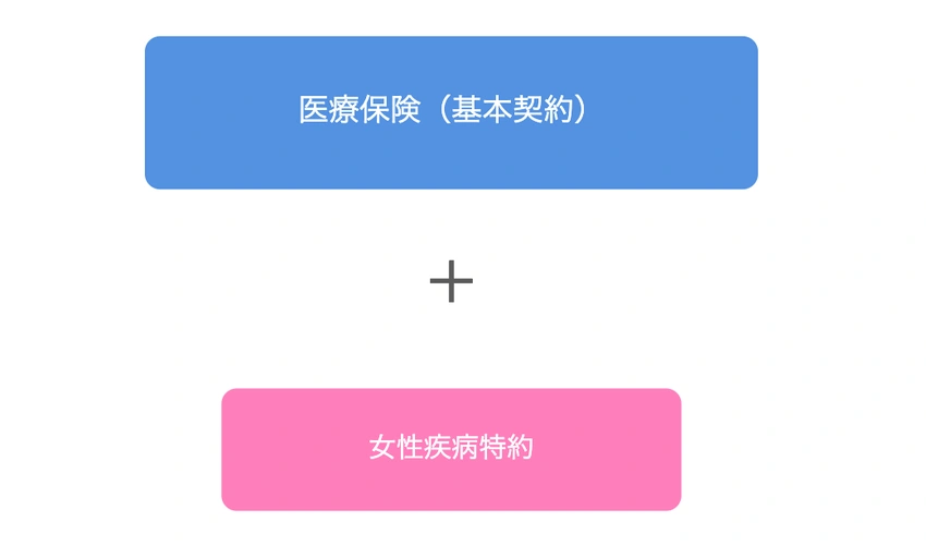 女性疾病特約とは