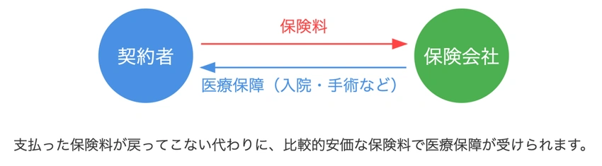 掛け捨ての医療保険とは